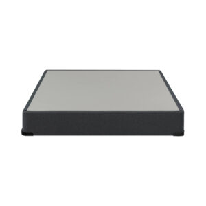 Sealy Double_Queen Box Spring